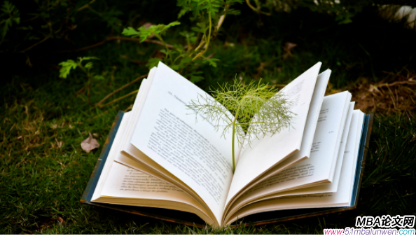 領導力與領導藝術論文怎么寫